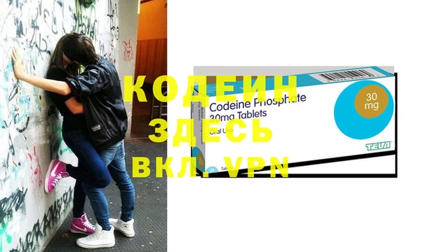 индика Аркадак