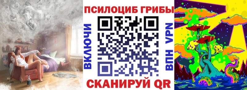 Псилоцибиновые грибы Psilocybine cubensis Губаха